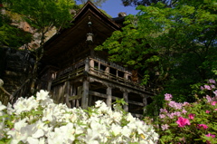 那谷寺～ツツジの季節