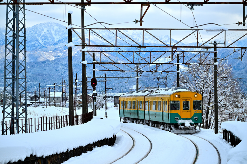 冬山からラクダ到着