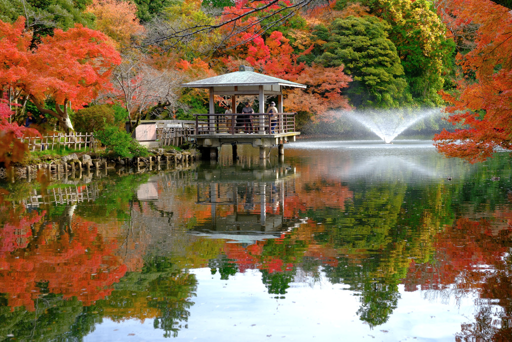 高岡城址公園紅葉風景