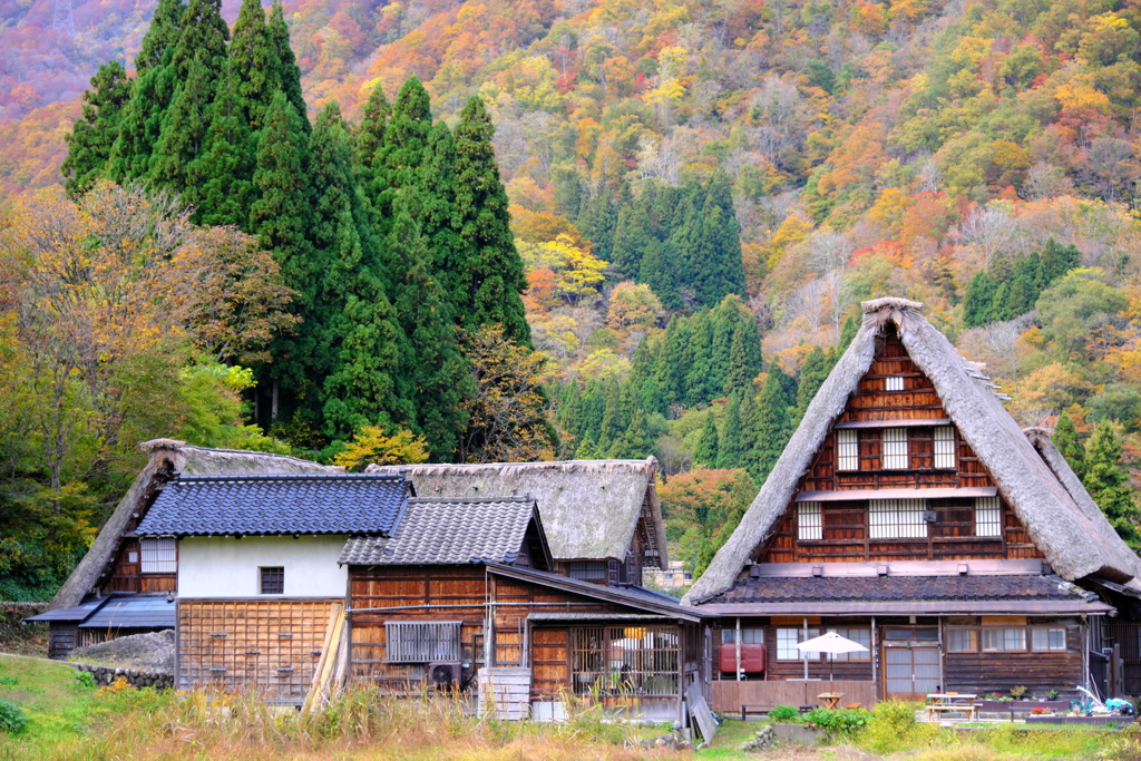 里山の紅葉と合掌造り集落