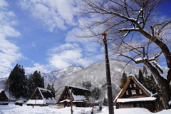 菅沼集落雪景色