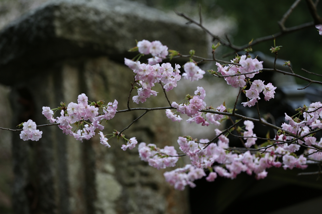 中能登永光寺