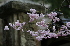 中能登永光寺