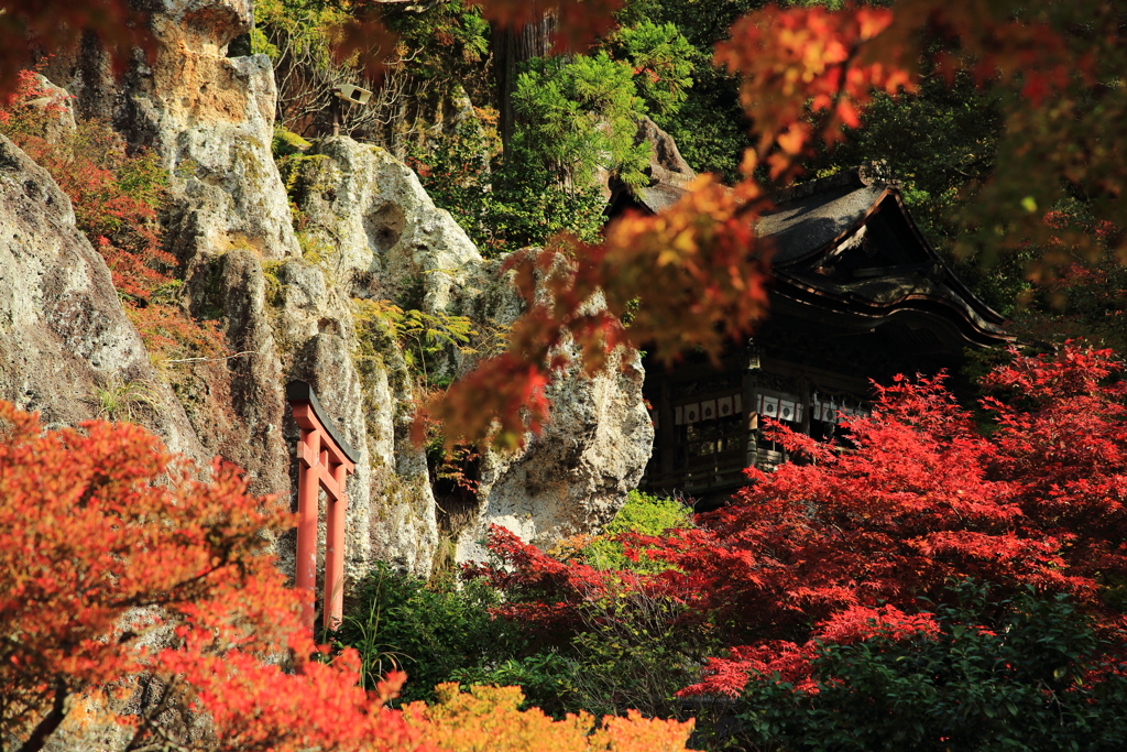 那谷寺紅葉と岩の御堂