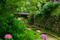 清涼の山門