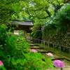 清涼の山門