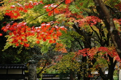永光寺～雨音の参道