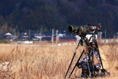 羽ばたきを待つ鳥屋さん