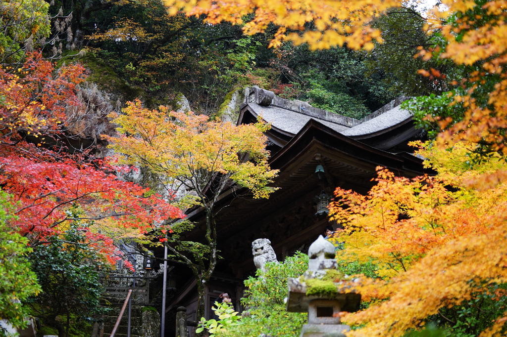 那谷寺～癒しの紅葉