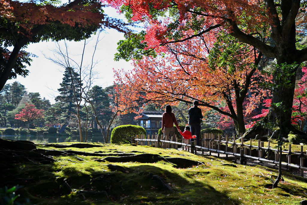 思い出に残る紅葉