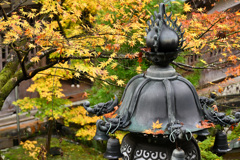 灯籠を彩る紅葉