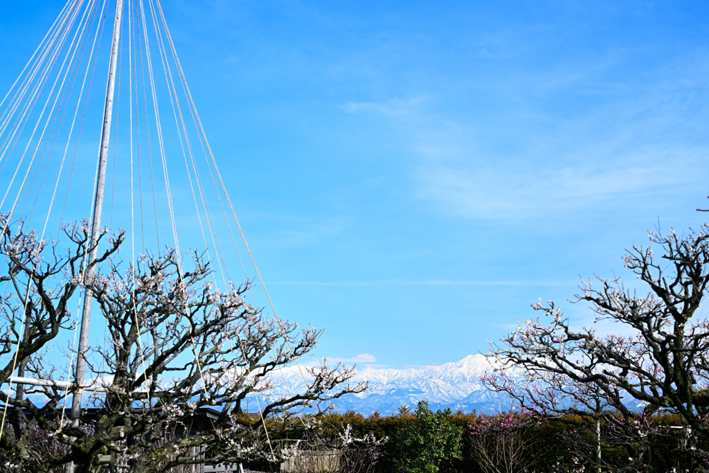 内山邸からの立山連峰