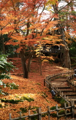 過行く秋の兼六園