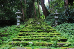 森と苔の参道