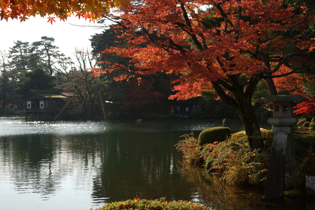 兼六園の秋その弐