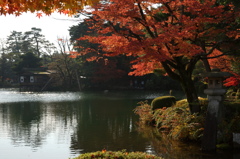 兼六園の秋その弐
