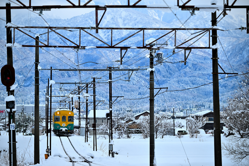 冬山行くラクダ電車