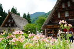 五箇山散策