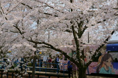 アニメ列車と桜駅の賑わい