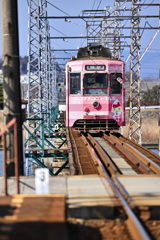 ピンクの電車万葉線