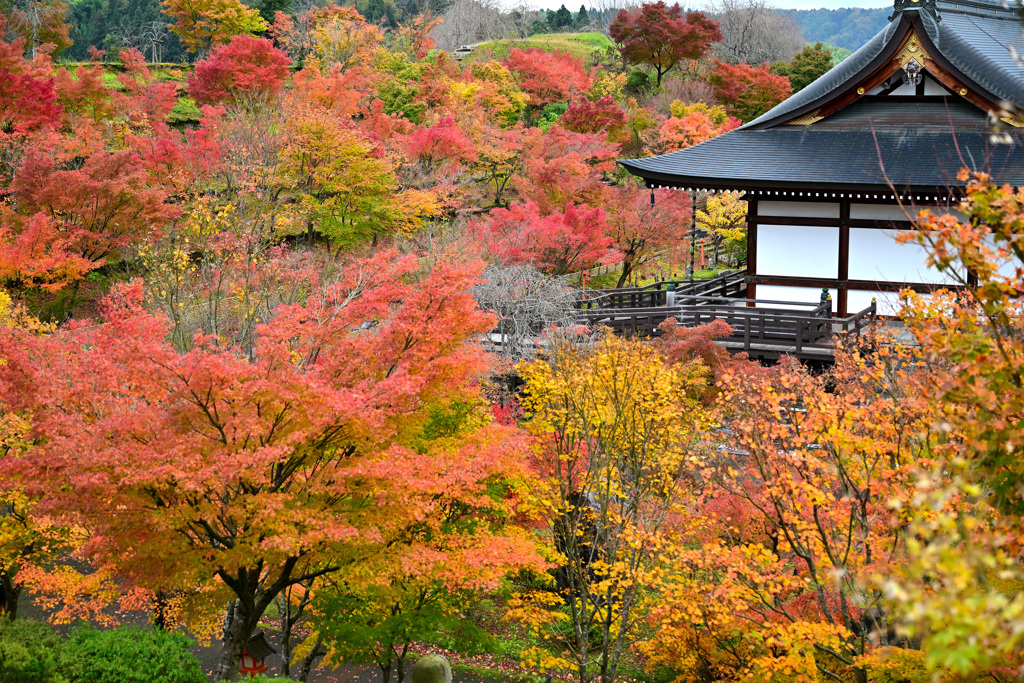 不動寺の紅葉