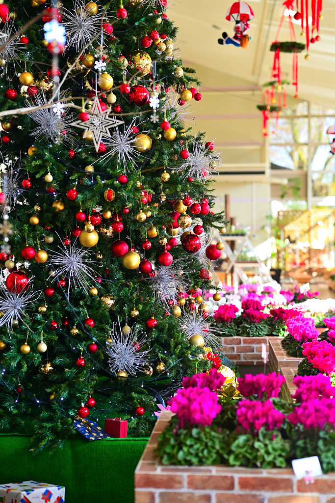 近づくクリスマス