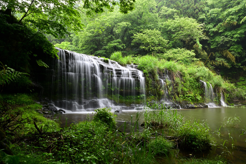 緑の渓流