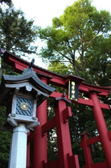 弥彦神社2