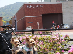 大和ミュージアム前