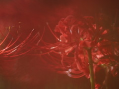 思いやり