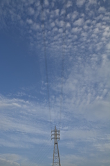 電線
