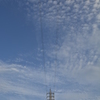 電線