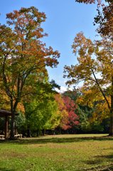 公園