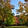 公園