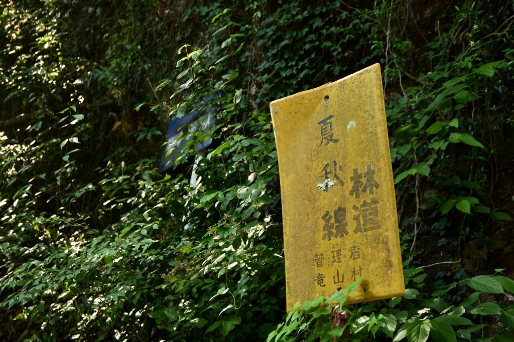 林道