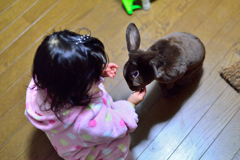 ハイおやつ