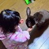 ハイおやつ