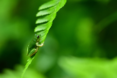 遊んでいる場合じゃないな