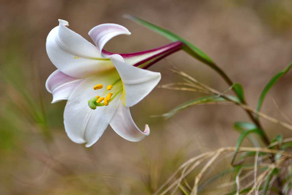 晩秋ですけど-Ⅱ