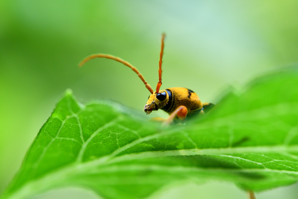 It’s melting hot this summer