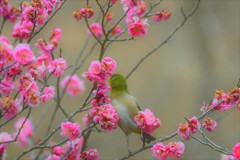 あとちょっとなんだけど