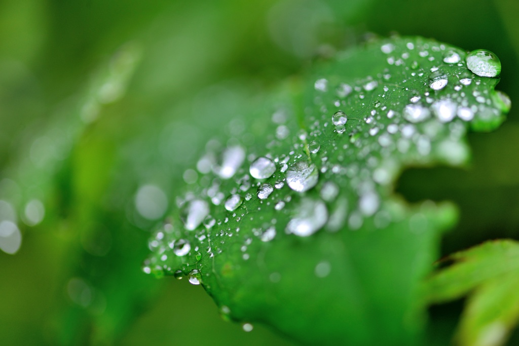 雨上がり