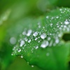 雨上がり