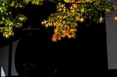 雪舟 宝福寺-4_R