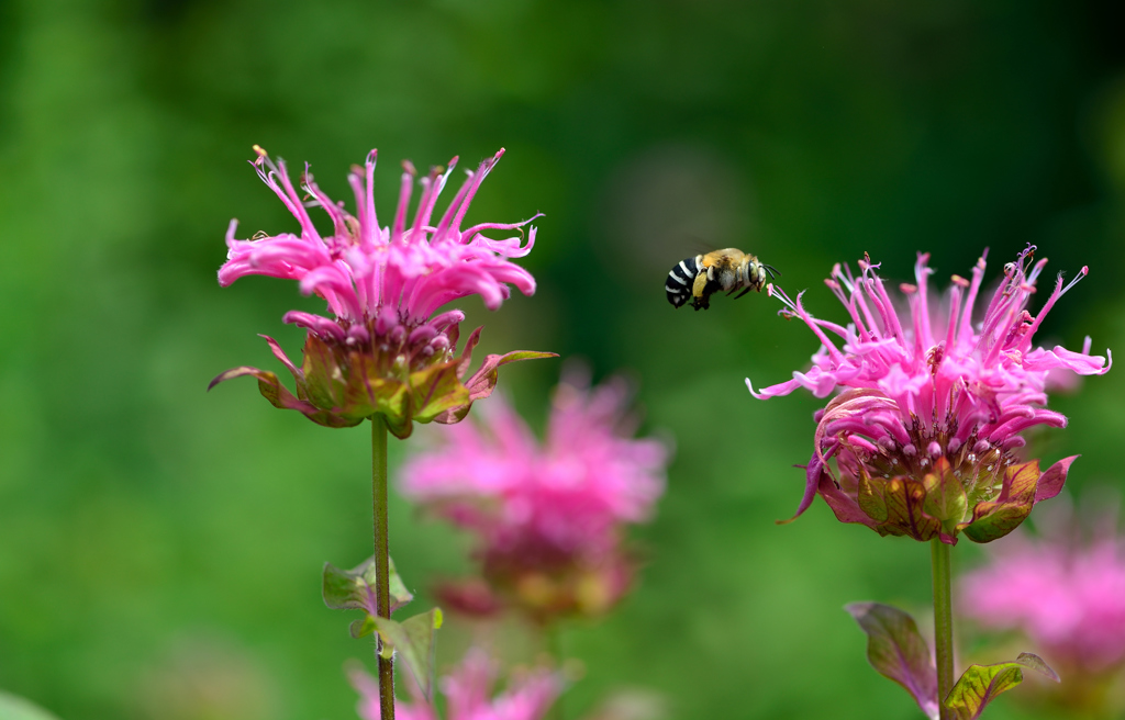 梅雨の合間に－Ⅰ