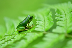 I'm dying for a beer!