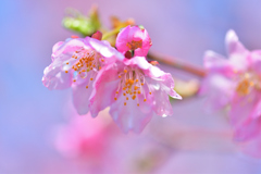 雨のち晴れ-Ⅱ