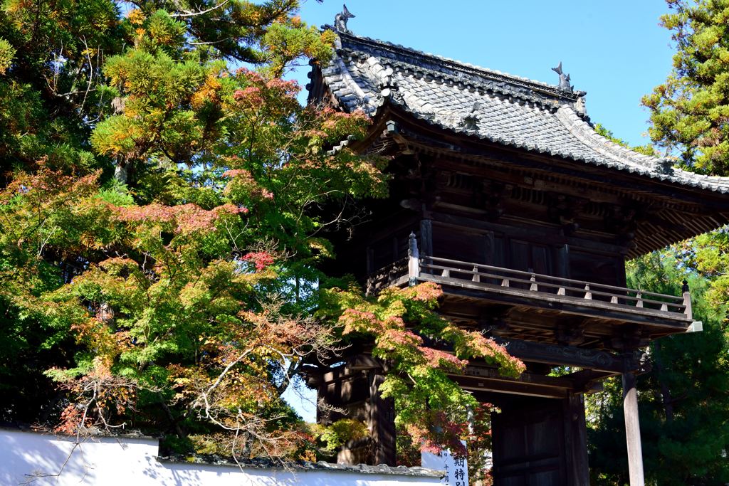 雪舟 宝福寺-1_R