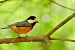 最も近くにおいでよ-Ⅲ