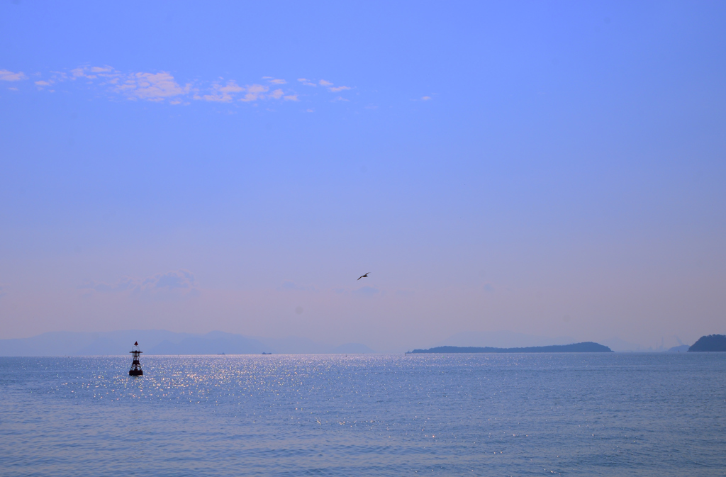 海とカモメ